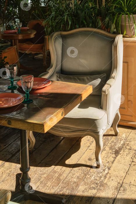 Скачать Обеденный стол в ресторане с креслом и растениями. фотосток Ozero