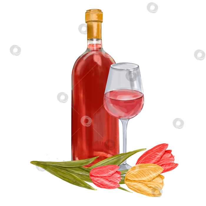 Скачать Акварельная бутылка красного вина и бокал с цветами, изолированная иллюстрация на белом фоне. Романтический ужин, свидание, тюльпаны. фотосток Ozero
