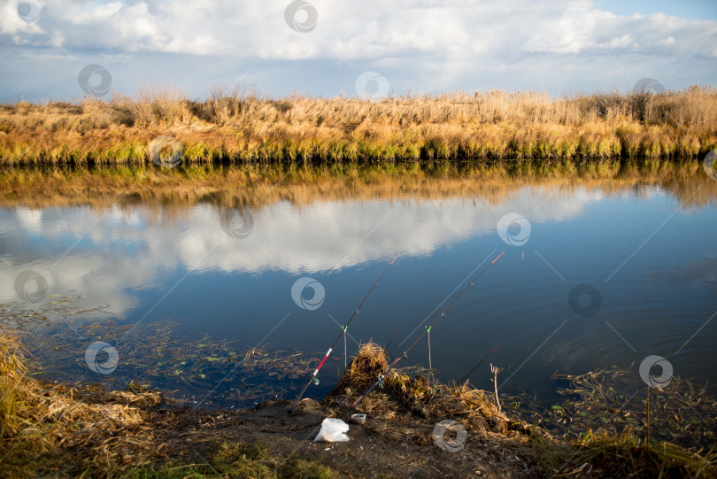 Скачать Рыбалка в пойме Иртыша фотосток Ozero