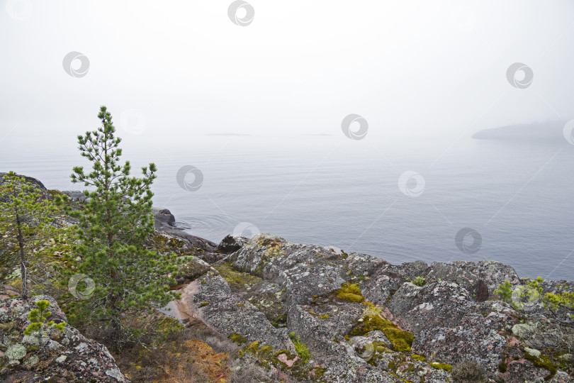 Скачать Туман в Ладожских шхерах. Карелия, Россия. фотосток Ozero