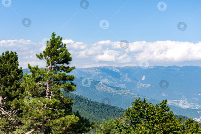 Скачать Крымские горы в районе Ялты. Горный пейзаж фотосток Ozero