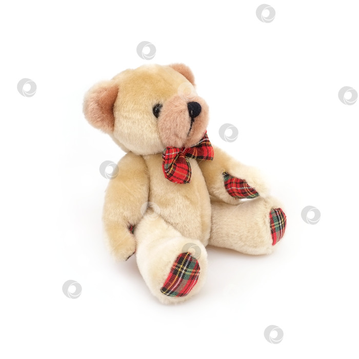 Скачать Детская игрушка: плюшевый мишка, изолированный на белом фоне фотосток Ozero