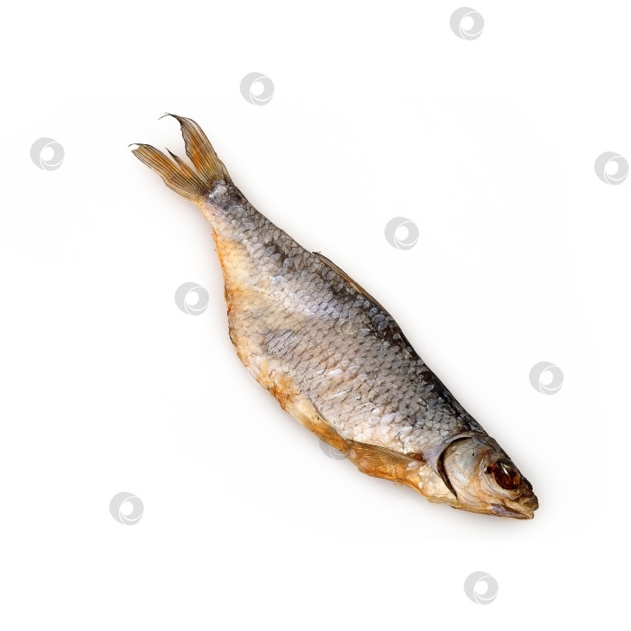 Скачать Сушеная рыба к пиву, выделенная на белом фоне фотосток Ozero