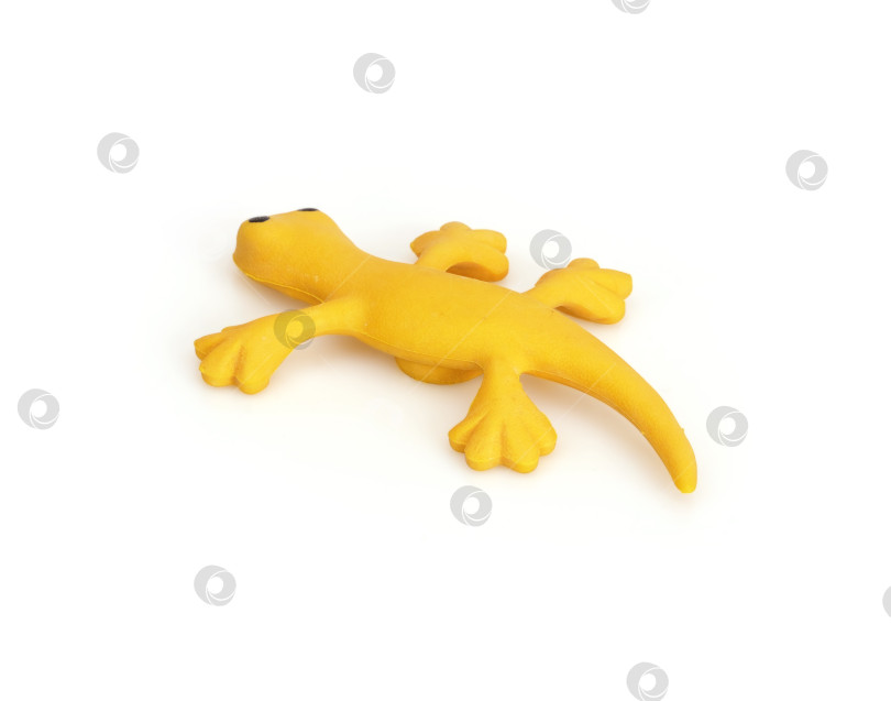 Скачать Желтая ящерица (магнит), изолированная на белом фоне. Элемент дизайна с контуром отсечения фотосток Ozero