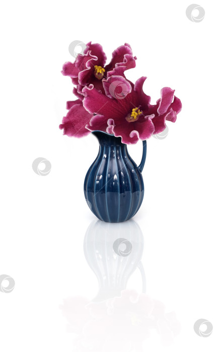 Скачать Синий керамический кувшин с красивыми фиолетовыми цветами, выделенными на белом фоне фотосток Ozero