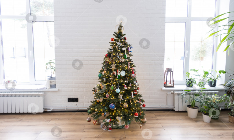 Скачать Рождественская елка в белом интерьере дома с большими окнами. Светящиеся гирлянды из сказочных огней украшают интерьер комнаты-студии. Комнатные растения в домашних условиях фотосток Ozero