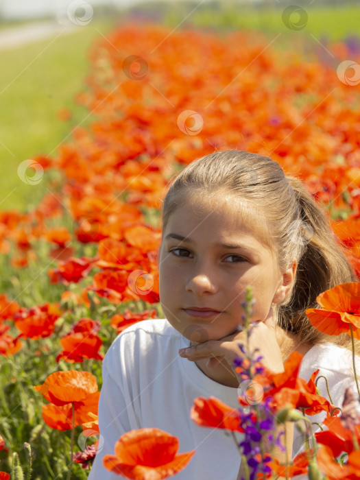 Скачать Красивая симпатичная девушка сидит на размытом цветочном поле, освещенном солнцем. Портрет девочки-подростка, смотрящей в камеру. Рассеянные красные маки фотосток Ozero
