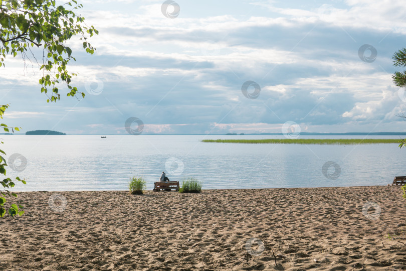 Скачать песчаный пляж на берегу огромного озера, женщина-путешественница сидит на скамейке, сделанной из старых поддонов фотосток Ozero