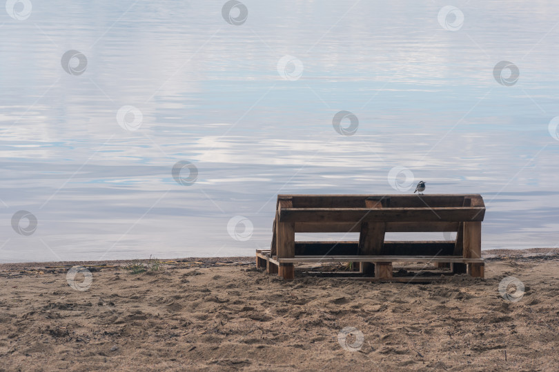 Скачать птица сидит на скамейке, сделанной из старых поддонов, на песчаном берегу огромного озера фотосток Ozero