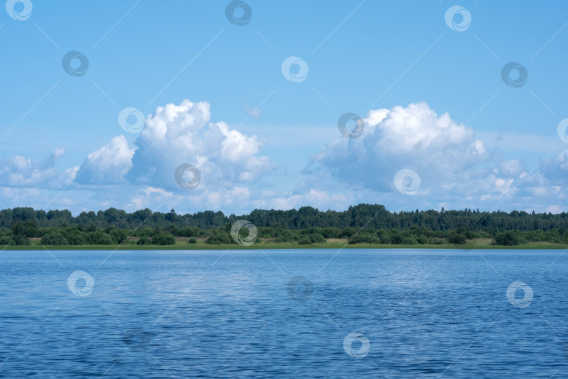 Скачать водный пейзаж, лесистый берег озера, вид с воды в солнечный день фотосток Ozero