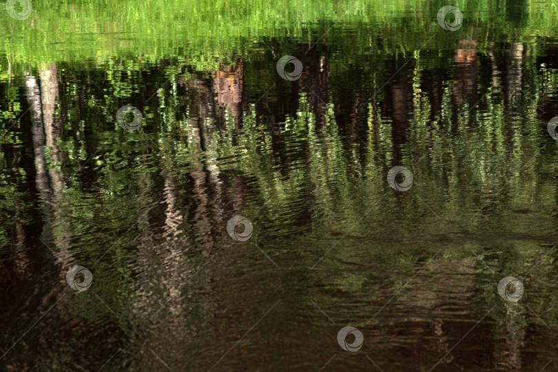 Скачать естественный фон, водный пейзаж, блестящая водная гладь с отражением фотосток Ozero