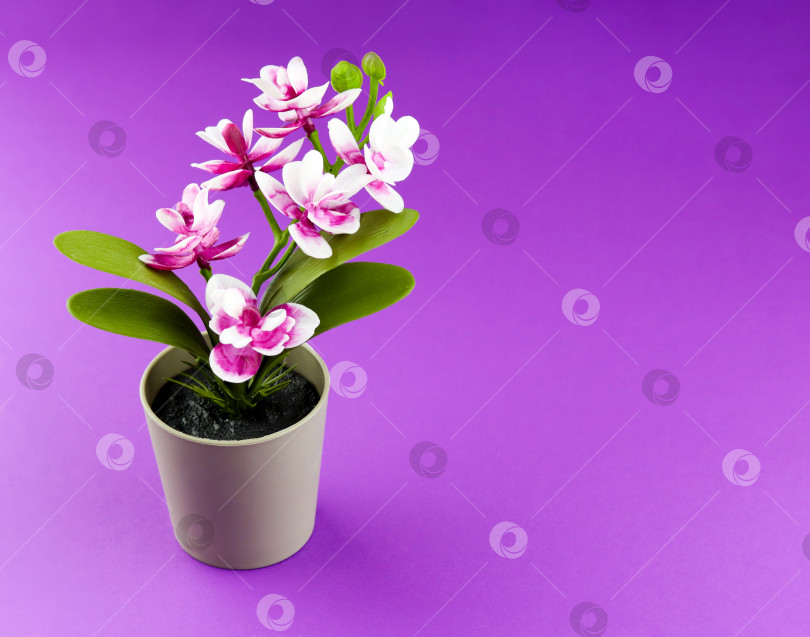 Скачать Розовая орхидея в цветочном горшке на цветном фиолетовом фоне. Баннер с изображением цветка орхидеи с пространством для копирования, минималистичная концепция. Тропическая фиолетовая орхидея искусственный цветок в горшке на красочном фоне фотосток Ozero