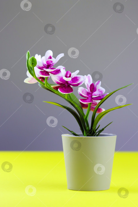 Скачать Розовая орхидея в цветочном горшке на желто-сером фоне. Вертикальный баннер "Цветок орхидеи" с пространством для копирования, минималистичная концепция. Тропическая фиолетовая орхидея искусственный цветок в горшке на красочном фоне фотосток Ozero