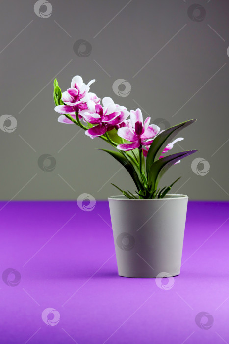 Скачать Розовая орхидея в цветочном горшке на цветном фиолетовом фоне. Вертикальный баннер "Цветок орхидеи" с пространством для копирования, минималистичная концепция. Тропическая фиолетовая орхидея искусственный цветок в горшке на красочном фоне фотосток Ozero