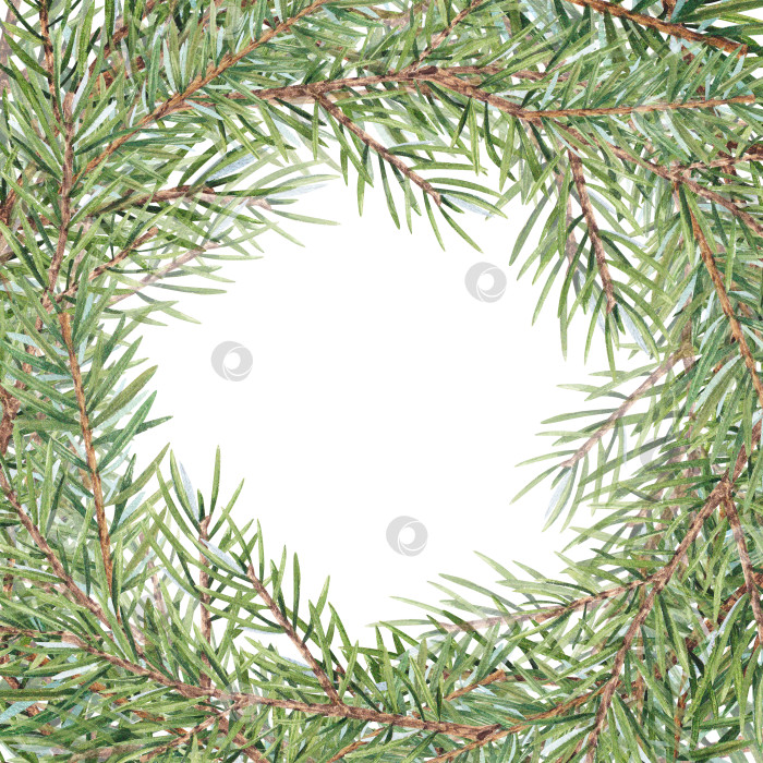 Скачать Акварельный венок с ветками рождественской елки на белом фоне. Украшение из зеленых растений, сосны, хвои, ели. Винтажная рамка из веток. Подходит для рождественских открыток, печати, дизайна. фотосток Ozero