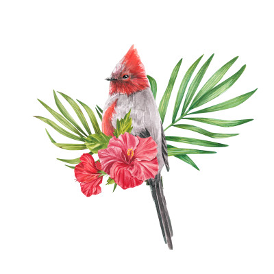 [object Object] undefined