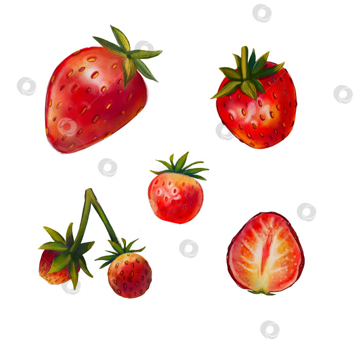Скачать Набор клубники на белом фоне. Нарисованная от руки иллюстрация сочной летней ягоды. Цифровое искусство. Раскрашенная еда, фрукты. Летние ягоды. Подходит для принтов, обоев, коробок, упаковок фотосток Ozero