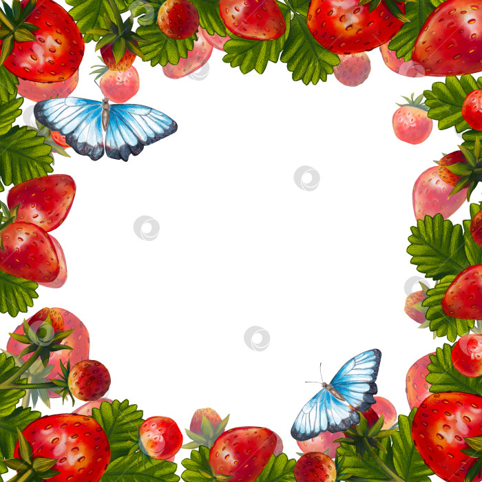 Скачать Квадратная рамка с клубникой на белом фоне. Акварельная иллюстрация летней ягоды с местом для текста. Бабочки в саду. Подходит для открыток, приглашений, кондитерских изделий. фотосток Ozero
