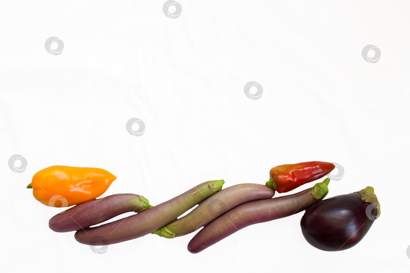 Скачать Разные сорта баклажанов и перца на белом фоне. Длинные баклажаны. Овощи фотосток Ozero