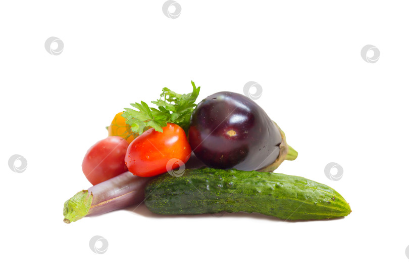 Скачать Натюрморт из разноцветных овощей на белом фоне. Баклажан, огурец, помидор, перец, зелень фотосток Ozero