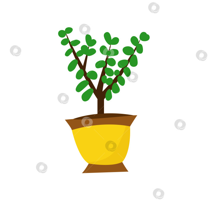 Скачать Садовое или квартирное зеленое растение для интерьера в вазе. Желтый декоративный горшок для домашних цветов. фотосток Ozero