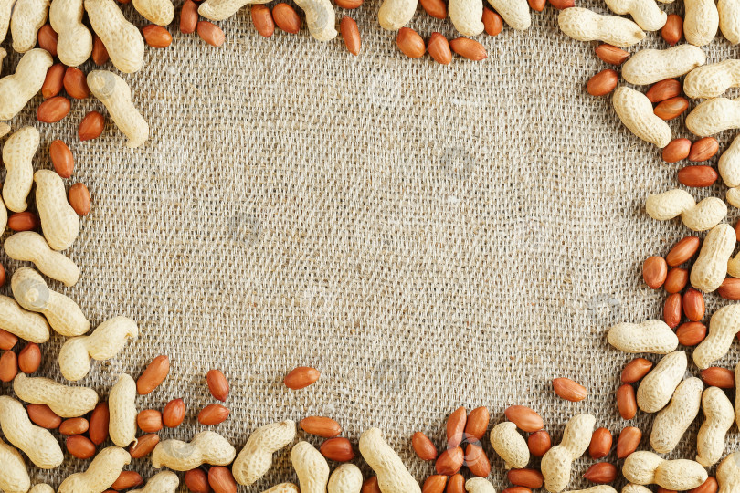 Скачать Обжаренный арахис в скорлупе и очищенный от кожуры на фоне коричневой ткани. фотосток Ozero