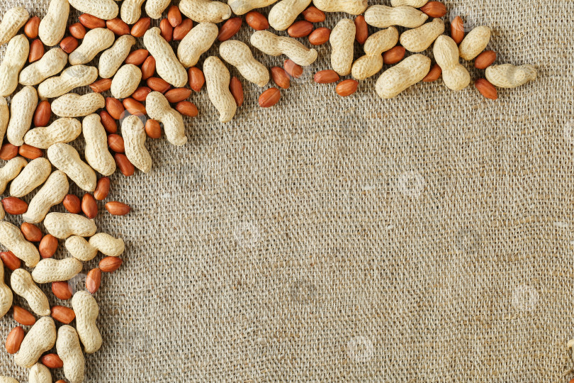 Скачать Обжаренный арахис в скорлупе и очищенный от кожуры на фоне коричневой ткани. фотосток Ozero
