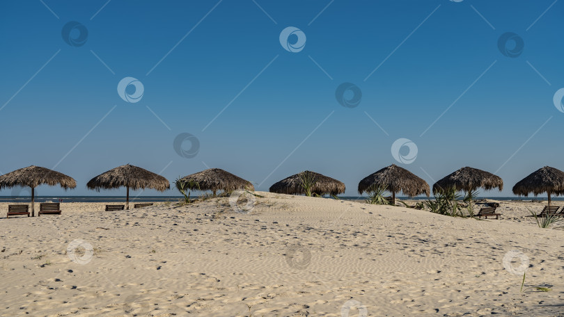 Скачать Ряд соломенных зонтиков от солнца и шезлонгов на пляже. фотосток Ozero