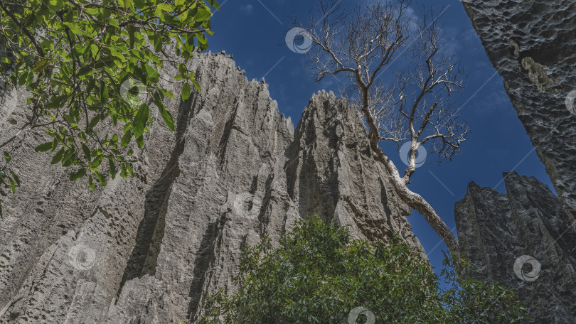 Скачать Уникальный Цинги Де Бемараха. фотосток Ozero