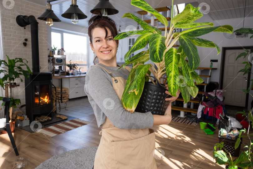 Скачать Счастливая женщина в зеленом доме с растением в горшке в руках улыбается, ухаживает за цветком. Интерьер уютного экологичного дома, печь-камин, хобби по выращиванию и разведению домашних растений фотосток Ozero