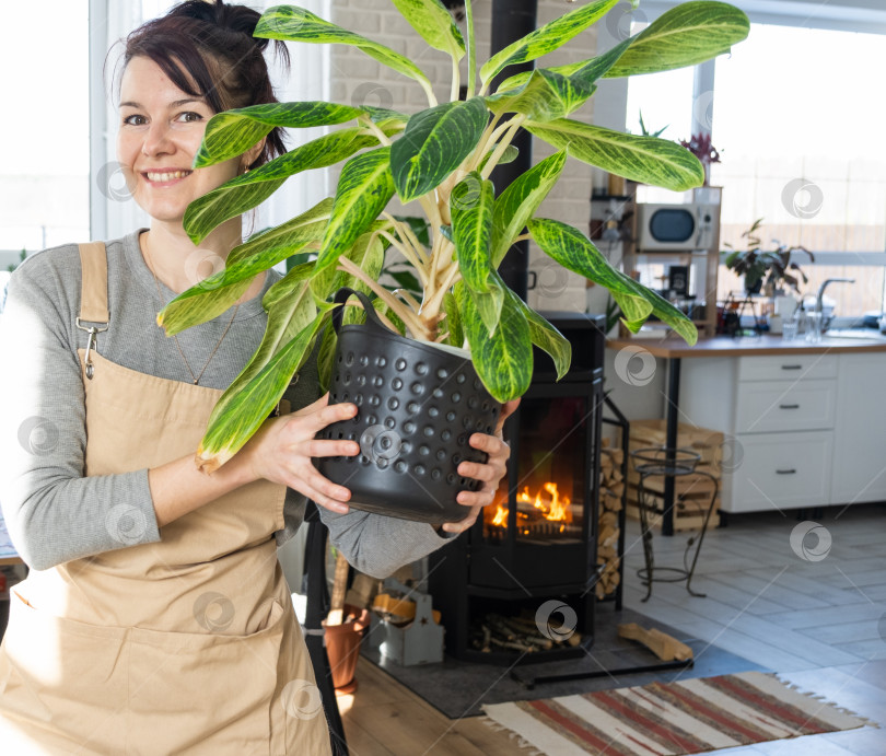 Скачать Счастливая женщина в зеленом доме с растением в горшке в руках улыбается, ухаживает за цветком. Интерьер уютного экологичного дома, печь-камин, хобби по выращиванию и разведению домашних растений фотосток Ozero
