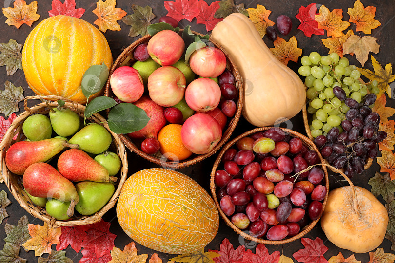 Скачать Осенний фон с яблоками, грушами, тыквами, дынями и сливами в корзинах на деревянном столе, концепция счастливого Дня благодарения, деревенский урожай, концепция здоровой натуральной пищи, рекламный баннер, кафе, ресторан, селективный фокус фотосток Ozero