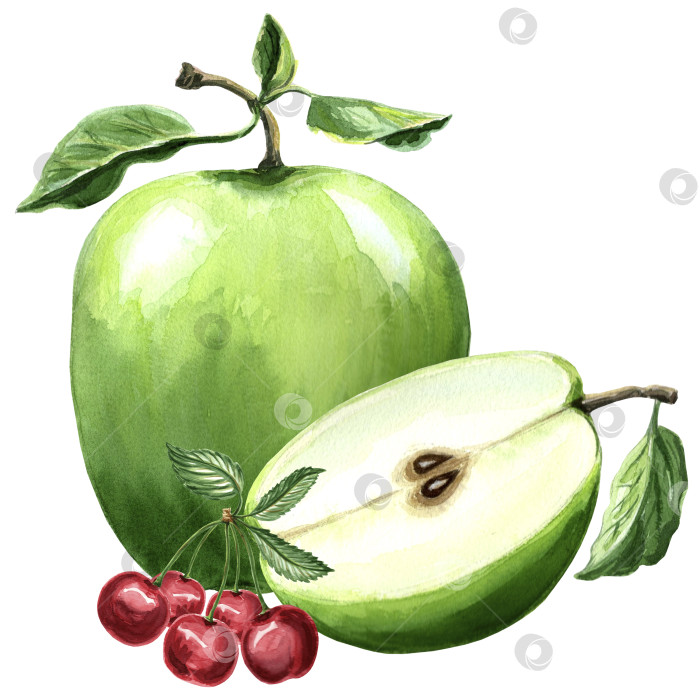 Скачать Акварельная иллюстрация зеленого яблока и вишни. Рисованные акварельные иллюстрации в формате JPEG для дизайна, тканей, оберточной бумаги, обоев, обложек, поздравительных открыток, принтов на одежде, текстиле, вышивке. фотосток Ozero