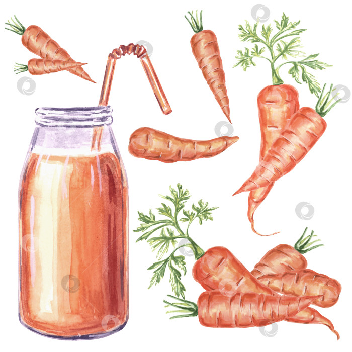 Скачать Набор акварельных иллюстраций с изображением оранжевой бутылки и моркови с зеленой ботвой. Рисованная иллюстрация в формате JPG для дизайна. фотосток Ozero