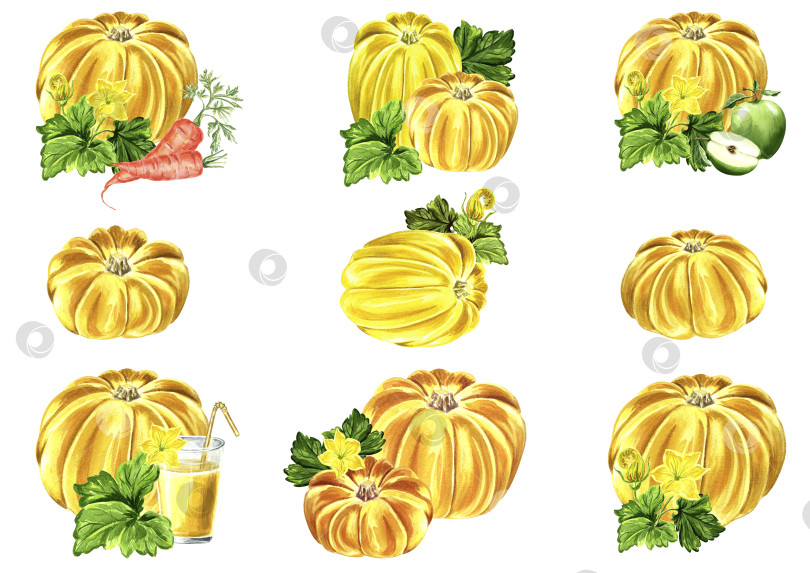 Скачать Набор акварельных иллюстраций с изображением желтых тыкв с листьями. Нарисованная от руки акварельная иллюстрация в формате JPEG для дизайна. фотосток Ozero