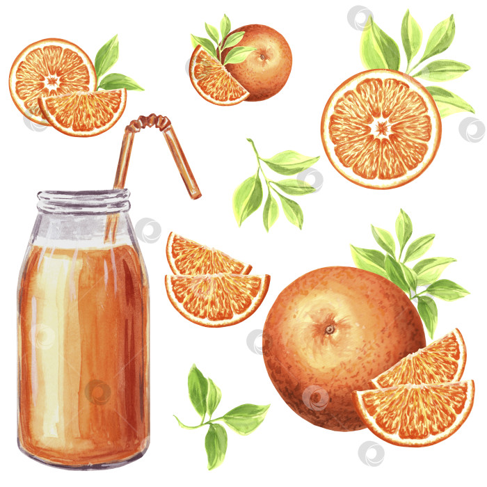 Скачать Набор акварельных иллюстраций с изображением апельсиновой бутылки и апельсинов с листьями. Рисованная иллюстрация в формате JPG для дизайна. фотосток Ozero