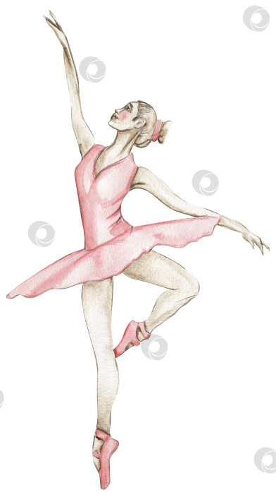 Идеи на тему «Балерина» () | балерины, рисунок балерины, торты балерины