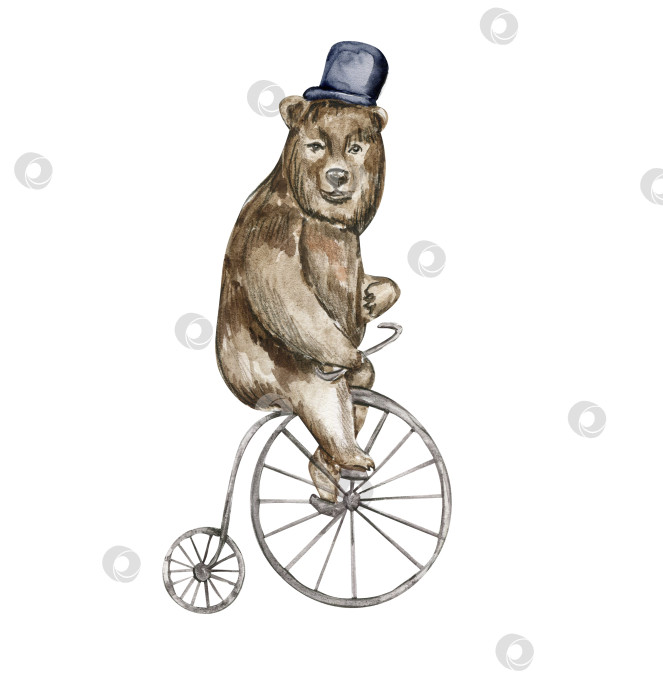 Скачать Нарисованный акварелью цирковой медведь на велосипеде в винтажном стиле. Идеально подходит для свадеб, приглашений, блогов, шаблонов открыток, открыток на день рождения и детские открытки, узоров, цитат. изолятор на белом фоне. фотосток Ozero