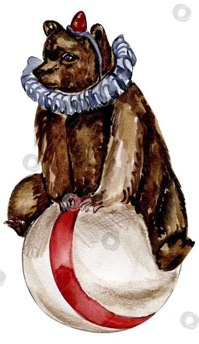 Скачать Нарисованный акварелью от руки цирковой медведь на шаре в винтажном стиле. Идеально подходит для свадеб, приглашений, блогов, шаблонов открыток, открыток на день рождения и детские открытки, узоров, цитат. изолятор на белом фоне. фотосток Ozero
