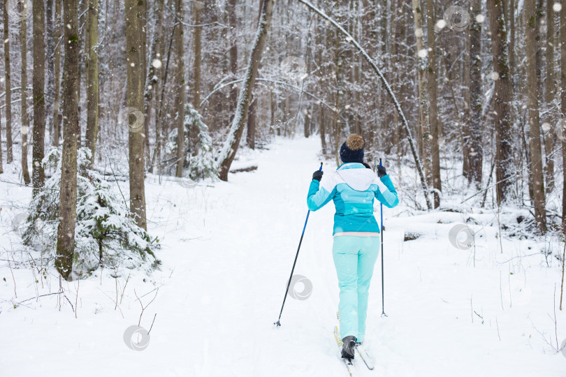 Скачать Лыжник в ветровке и шапке с помпоном, с лыжными палками в руках, спиной на фоне заснеженного леса. Катание на беговых лыжах в зимнем лесу, спорт на открытом воздухе, здоровый образ жизни. фотосток Ozero