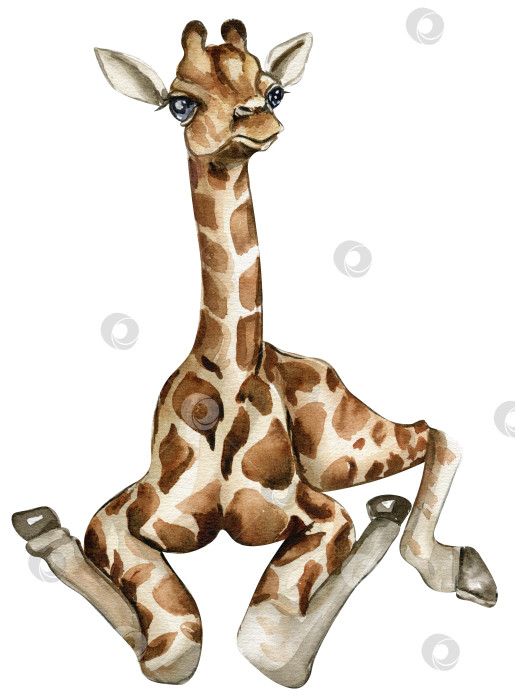Скачать Акварельная иллюстрация жирафа, мультяшное тропическое животное, экзотический дизайн летних джунглей.Нарисованный от руки. Дизайн для вечеринки в честь дня рождения ребенка, дня рождения, торта, оформления праздничного торжества, поздравительной открытки, приглашения. фотосток Ozero