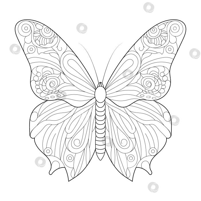 Бабочки, картинки для детей (74 рисунка)