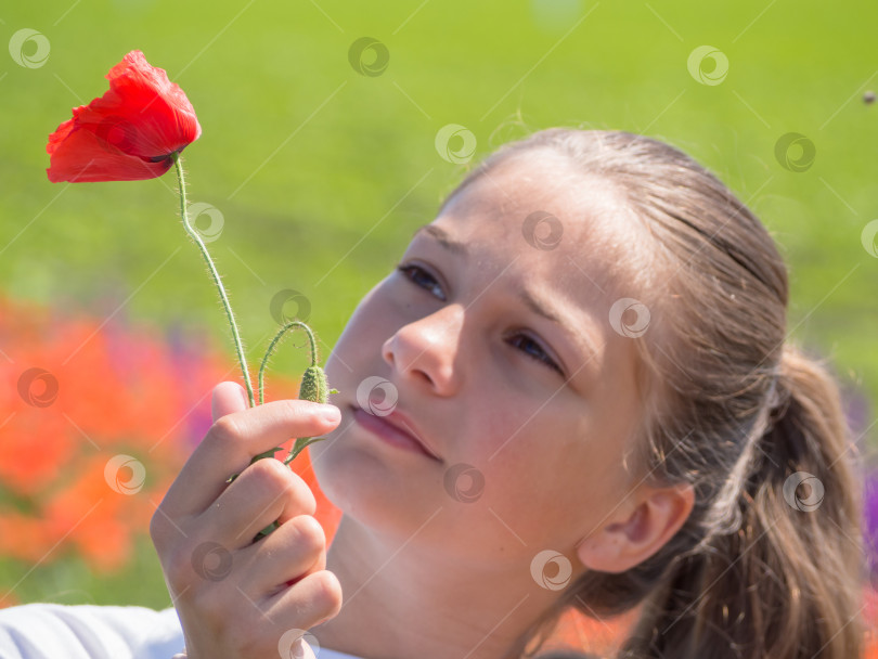 Скачать Рассеянное лицо красивой девушки, смотрящей на красный цветок мака, зажатый в ее руке, на весеннем солнечном лугу фотосток Ozero