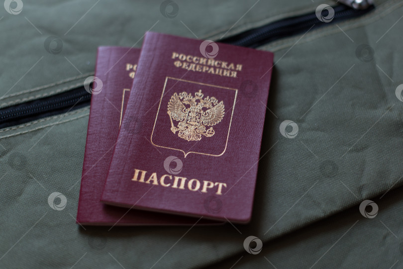 Скачать Два российских загранпаспорта фотосток Ozero