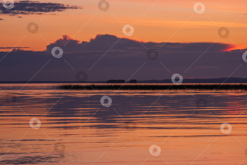 Скачать природный ландшафт, белая ночь над широким северным озером фотосток Ozero