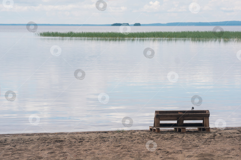 Скачать птица сидит на скамейке, сделанной из старых поддонов, на песчаном берегу огромного озера фотосток Ozero