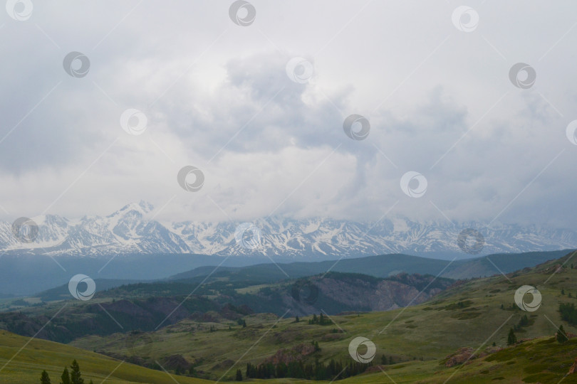 Скачать Горный Алтай, Россия, Северо-Чуйский хребет, гора Белуха, горный перевал, Чуйская долина, Акташ, вдали от цивилизации фотосток Ozero