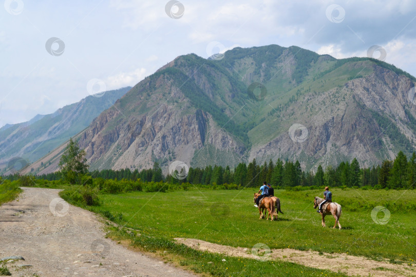 Скачать Горный Алтай, Россия, дорога в горах, катание на лошадях, туристы верхом на лошадях, отдых на природе вдали от цивилизации фотосток Ozero