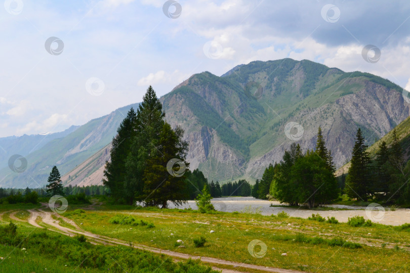 Скачать Горный Алтай, Россия, горная дорога, горная река, отдых на природе, вдали от цивилизации фотосток Ozero