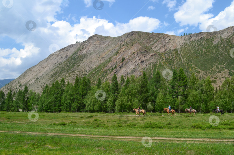 Скачать Горный Алтай, Россия, дорога в горах, туристы верхом на лошадях, верховая езда, отдых на природе, вдали от цивилизации фотосток Ozero